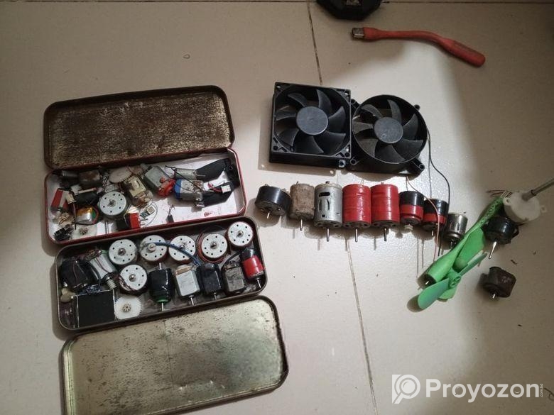 ছোট্ট মটর