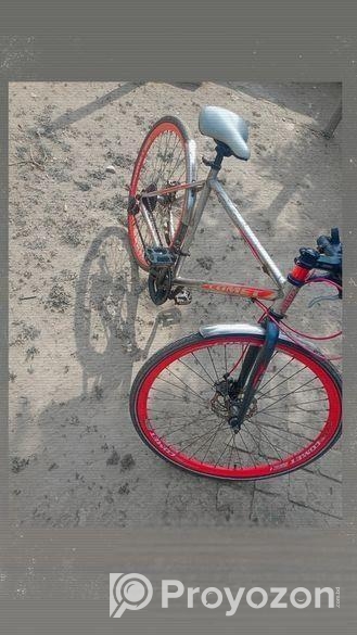 Bicycle for Sale