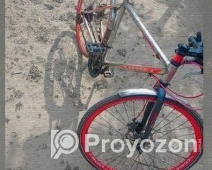 fitted-59_2025-11-25_10-41-42