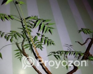 fitted-5_2025-11-08_17-57-57