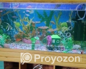 fitted-61_2025-11-02_10-08-16