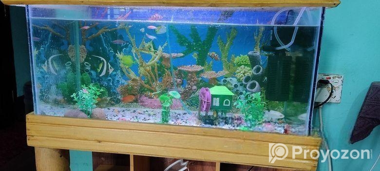 একুরিয়াম