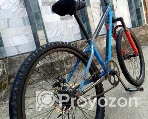 fitted-65_2025-11-03_12-25-19