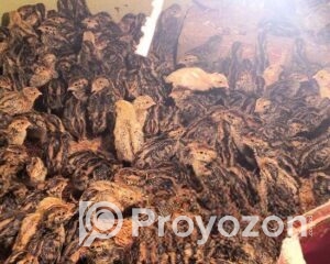 fitted-65_2025-11-26_10-46-09