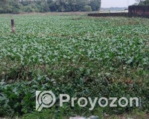 fitted-6_2025-11-12_17-15-24