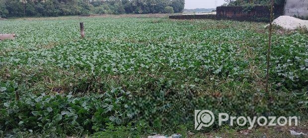 ৩কাঠার একটি লট বিক্রি করা হবে