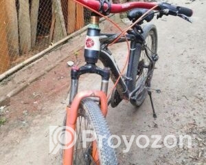 fitted-71_2025-11-10_21-50-21