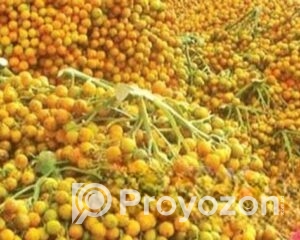 fitted-71_2025-11-16_18-26-00