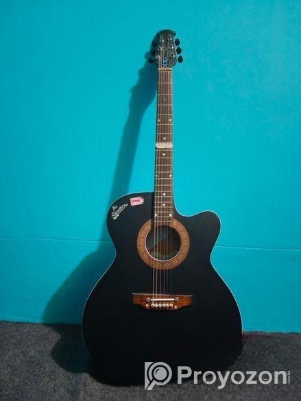 Gutter Signature Model 265