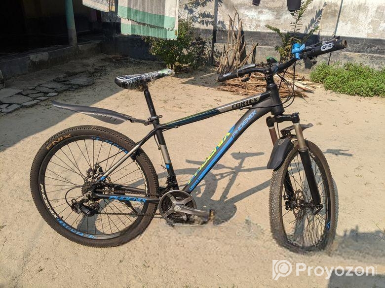 Phonix Gear Bicycle