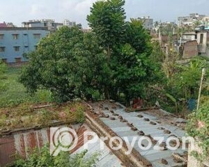 fitted-7_2025-11-03_17-47-59