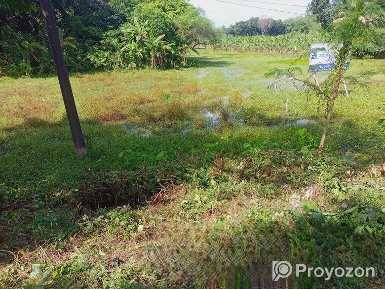 জমির পরিমাণ ২০ শতক