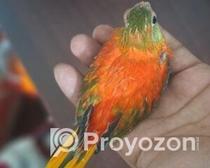 fitted-80_2025-11-09_11-27-19