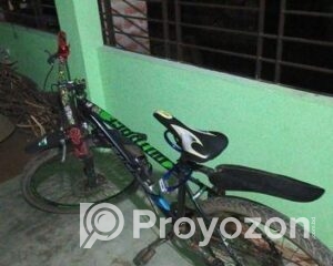 fitted-81_2025-11-04_09-58-48