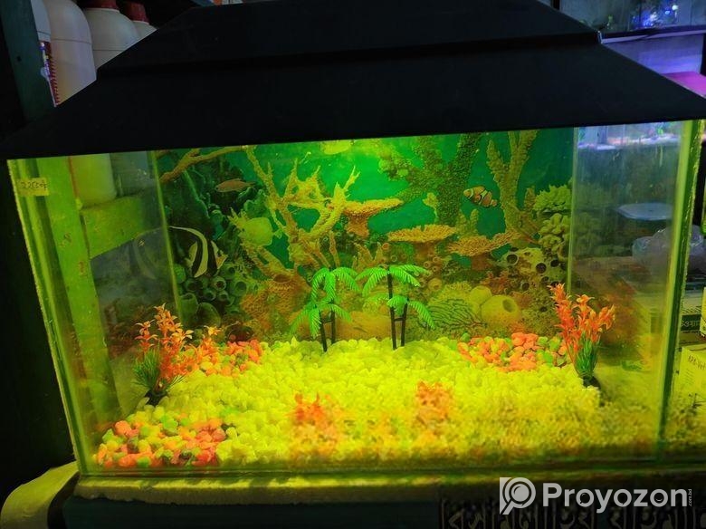 একুরিয়াম সেন্টার