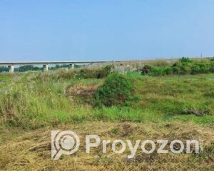 fitted-81_2025-11-30_17-20-00