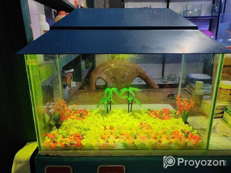 একুরিয়াম সেন্টার