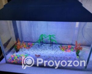 fitted-83_2025-11-09_11-19-48