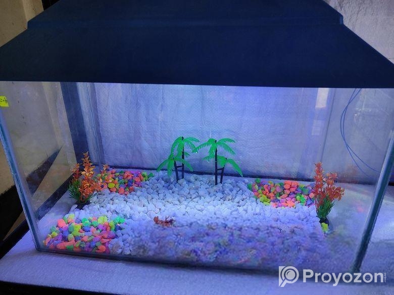 একুরিয়াম সেন্টার