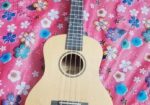 Ukulele for sale