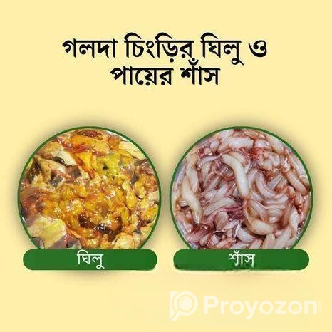 গলদা চিংড়ি ও গিলু