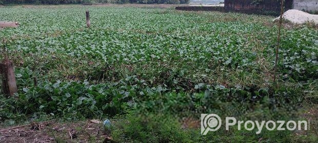 ৩কাঠার একটি লট বিক্রি করা হবে