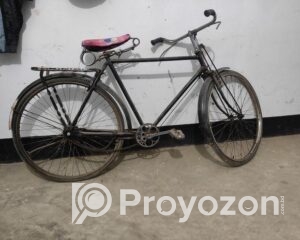 fitted-94_2025-11-22_11-55-26