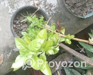 fitted-95_2025-11-04_23-44-27