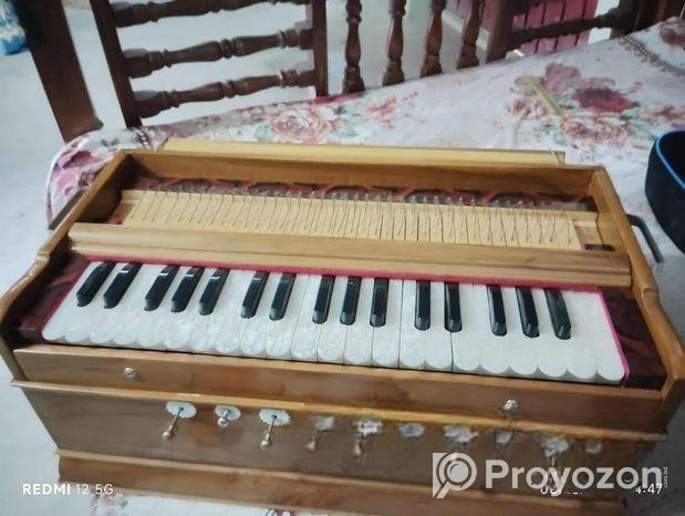 সলিড, প্লেইন চাবি হারমোনিয়াম