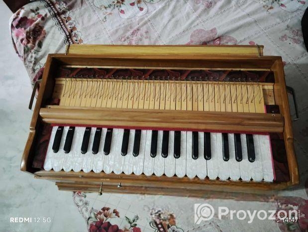 সলিড, প্লেইন চাবি হারমোনিয়াম