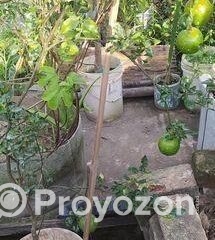 fitted-98_2025-11-04_23-46-53