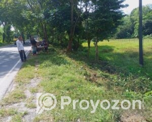 fitted-9_2025-11-04_09-43-41