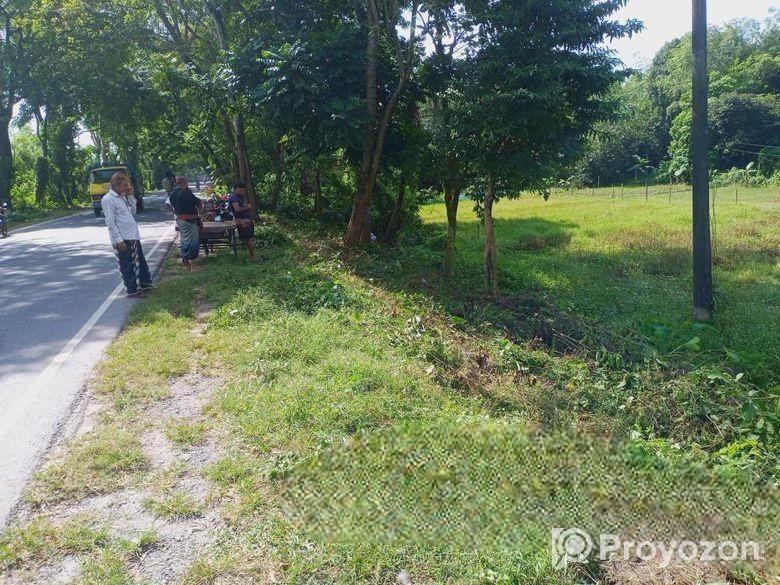 জমির পরিমাণ ২০ শতক