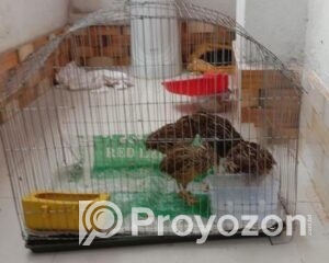 fitted-9_2025-11-08_17-26-08