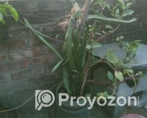 fitted-9_2025-11-22_11-06-57