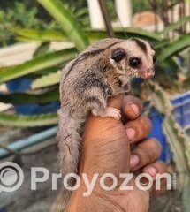 fitted-10_2025-12-21_10-05-20