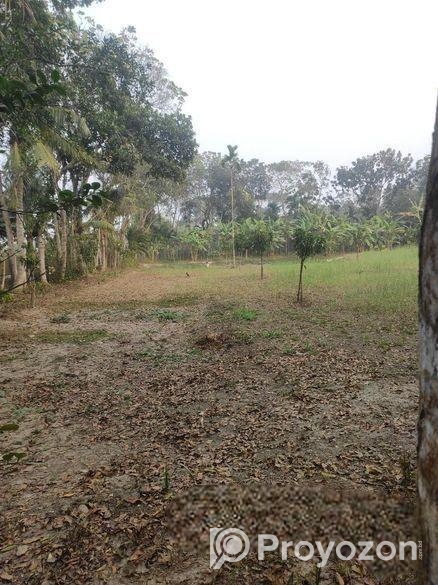 “হাইওয়ের পাশে বাণিজ্যিক জমি – ব্যবসার জন্য উপযুক্ত জায়গা”