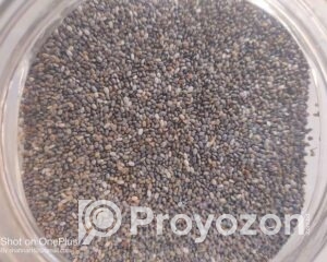 fitted-11_2025-12-01_10-07-09