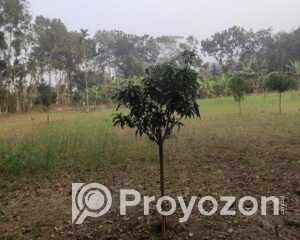 fitted-12_2025-12-01_09-58-33