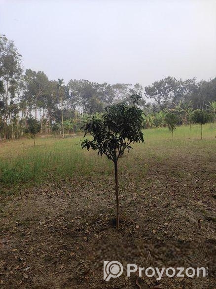 “হাইওয়ের পাশে বাণিজ্যিক জমি – ব্যবসার জন্য উপযুক্ত জায়গা”