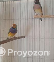 fitted-13_2025-12-06_10-07-30