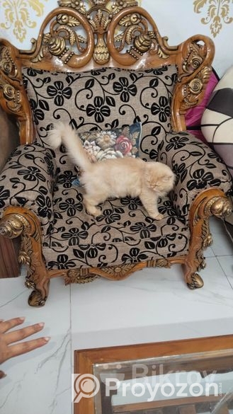 সোফাসেট বিক্রি হবে