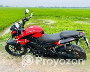 fitted-14_2025-12-24_10-43-53