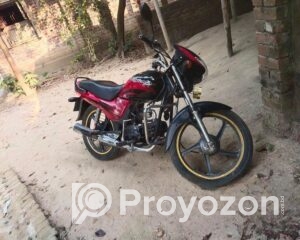 fitted-15_2025-12-02_10-21-33