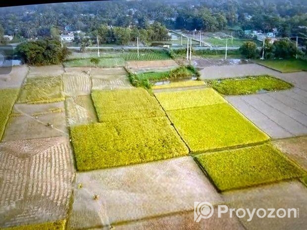 ১০ বিঘা ইন্ডাস্ট্রিয়াল জমি বিক্রয় – মাধবপুর, হবিগঞ্জ