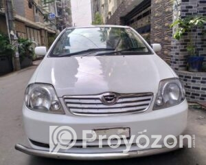 fitted-17_2025-12-13_09-25-41