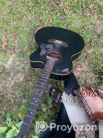 অরজিনাল গিটার