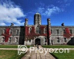 fitted-17_2025-12-22_09-50-00