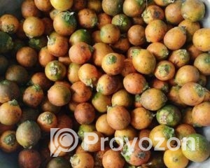 fitted-18_2025-12-03_09-45-03