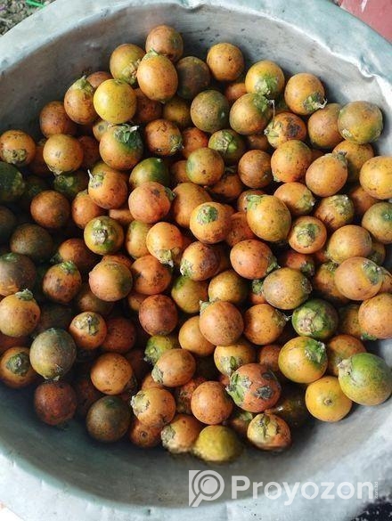 ১ কুড়ি পাকা সুপারি বিক্রি হবে